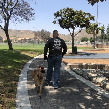 Restored k-9 Academy - Showing us how it's done! - Pet Training Near Me Restored k-9 Academy - Showing us how it's done! - Pet Training Near Me