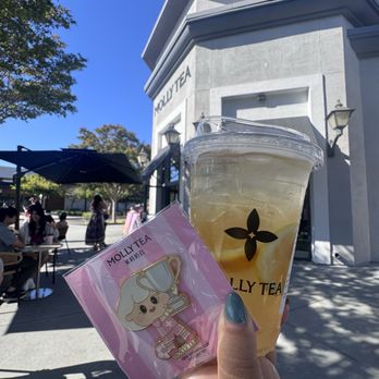 Molly Tea - Premium Jasmine Citrus - Bubble Tea Near Me - Santa Clara, California