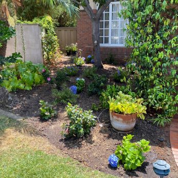 Renshaw Landscape Services - Shade Tolerant Plant Installation/Mulch in Carmel Valley. - Landscaping Near Me Renshaw Landscape Services - Shade Tolerant Plant Installation/Mulch in Carmel Valley. - Landscaping Near Me