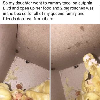 Yummy Taco - Two roaches in their to go box !!! No thank you !! They need to close this place down ! DONT EAT FROM HERE - Mexican Near Me - Jamaica, New York Yummy Taco - Two roaches in their to go box !!! No thank you !! They need to close this place down ! DONT EAT FROM HERE - Mexican Near Me - Jamaica, New York