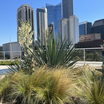 POST Market - Houston from the Skylawn! - Food Court Near Me - Houston, Texas