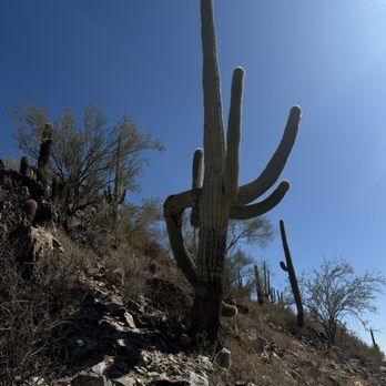 Cave Creek Regional Park - Parks Near Me - Cave Creek, Arizona Cave Creek Regional Park - Parks Near Me - Cave Creek, Arizona