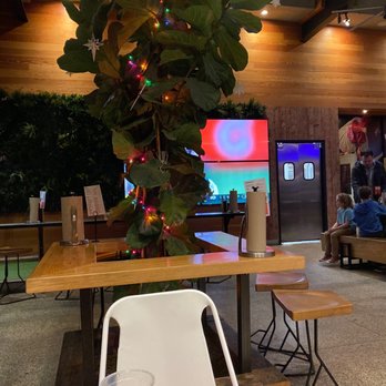 The Crack Shack - Tv with a tree in-front of everything - Chicken Shop Near Me - Costa Mesa, California
