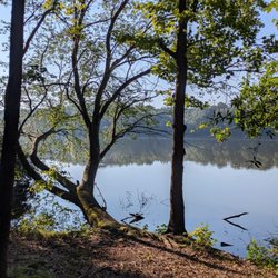 Lake Brandt!
