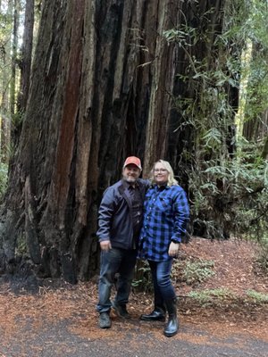 Armstrong Redwoods State Natural Reserve by null