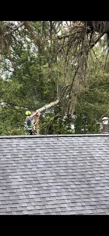 Southtowns Landscaping - tree service in Lake View, NY