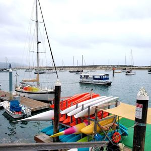 BLACK PEARL SPORTFISHING - 15 Photos - Boat Charters - 1169 Market Ave