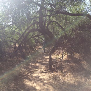Spur Cross Ranch Conservation Area - Parks Near Me - Cave Creek, Arizona