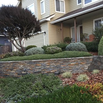 Elias Ramirez Garden Services - Stone retaining wall in a drought-tolerant garden - Gardeners Near Me Elias Ramirez Garden Services - Stone retaining wall in a drought-tolerant garden - Gardeners Near Me
