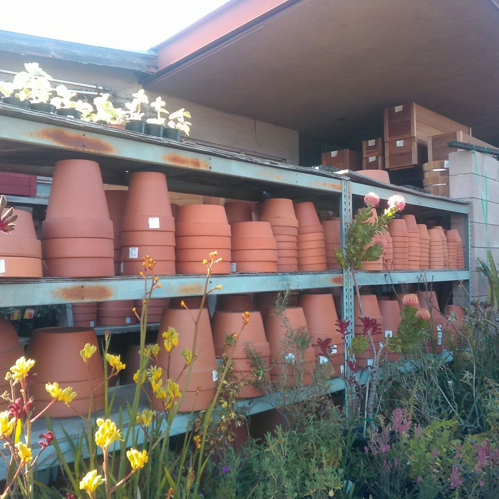 Sego Nursery - Pots & planters of all different kinds - Nurseries & Gardening Near Me - Valley Village, California