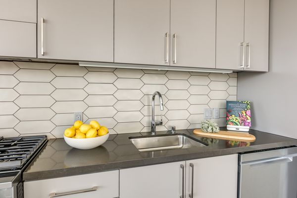 1717 Webster by null