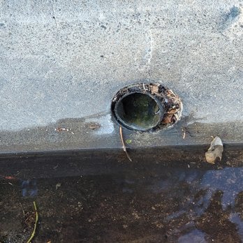 Green Grass Landscaping - Irrigation pipe that was broken by the tree flooded into the street vis the backyard drainage system - Landscaping Near Me Green Grass Landscaping - Irrigation pipe that was broken by the tree flooded into the street vis the backyard drainage system - Landscaping Near Me
