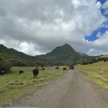 Kualoa Ranch - Tours Near Me - Kaneohe, Hawaii Kualoa Ranch - Tours Near Me - Kaneohe, Hawaii