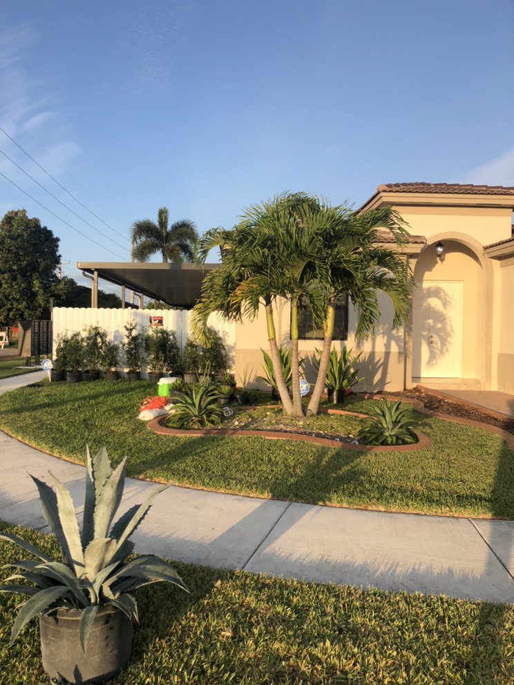 Mirandas Garden And Desing - tree service in Miami, FL