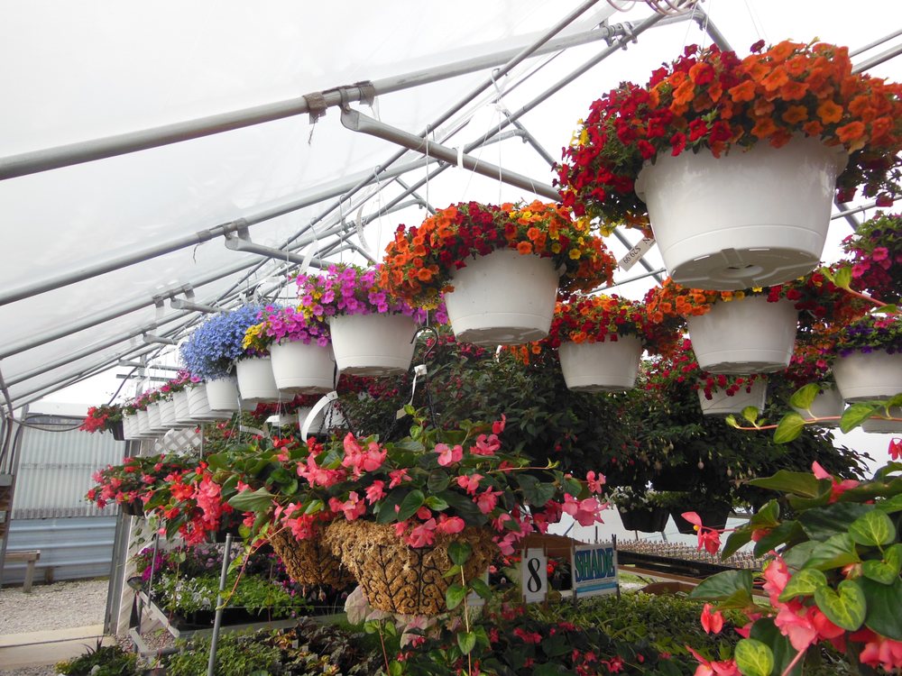 YONIE’S GREENHAUS Updated October 2024 4785 Price Hilliards Rd