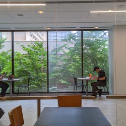 Aviva by Kameel - Atlanta - Some greenery outside in what it otherwise the concrete jungle