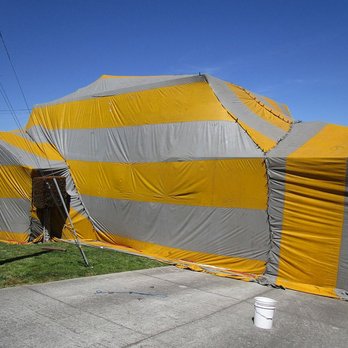Proven Termite Solutions - Pest Control Near Me - San Jose, California Proven Termite Solutions - Pest Control Near Me - San Jose, California