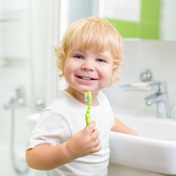 Healthy Home - Environmental Testing Near Me - Portland, Oregon Healthy Home - Environmental Testing Near Me - Portland, Oregon