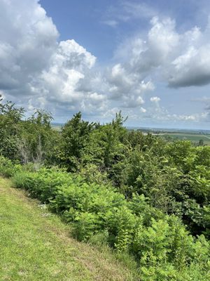 Four State Lookout by null