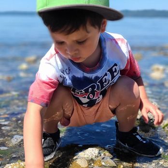 Saltwater State Park - Parks Near Me - Des Moines, Washington Saltwater State Park - Parks Near Me - Des Moines, Washington