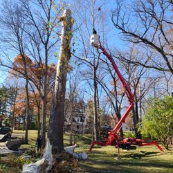 N&S Tree Service