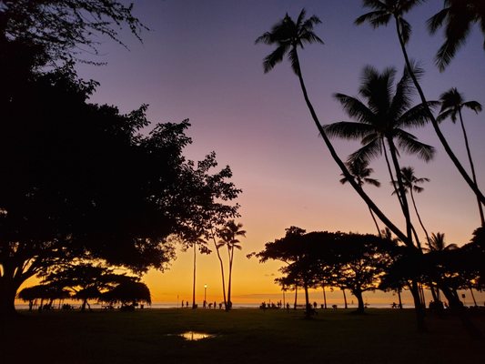 Kapiʻolani Regional Park by null