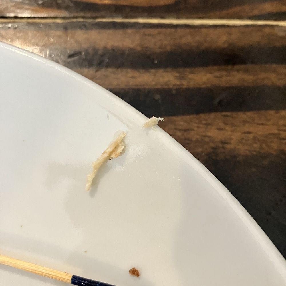 Bone found in chicken salad not a huge deal but worth mentioning.