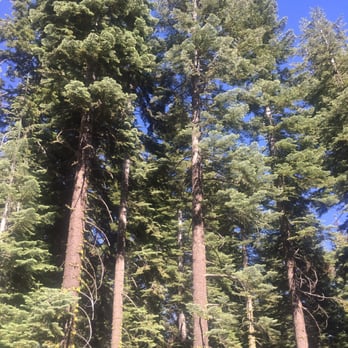 Stockton Silver Lake Camp - On the way there like going to Lake tahoe - Summer Camps Near Me - Pioneer, California Stockton Silver Lake Camp - On the way there like going to Lake tahoe - Summer Camps Near Me - Pioneer, California