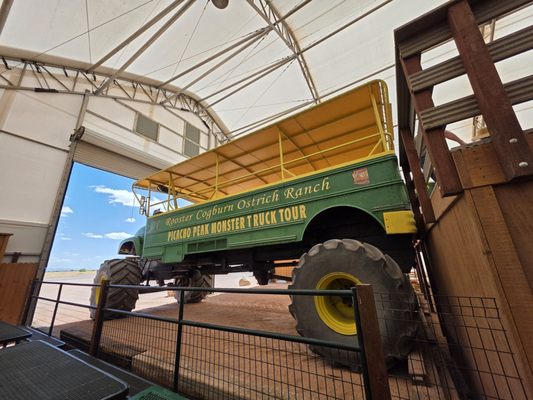 Rooster Cogburn Ostrich Ranch by null