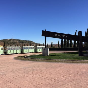 Bodegas Torres - Wineries Near Me - Pacs del Penedès, B