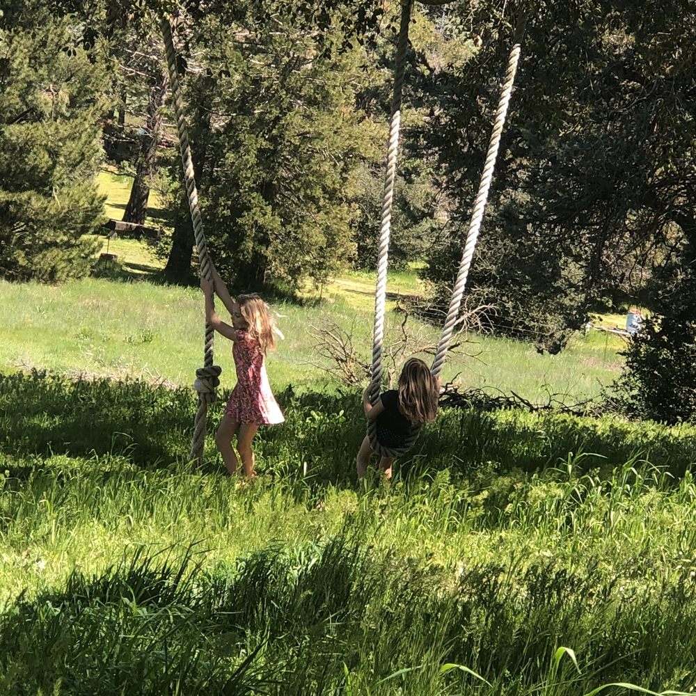 Back area of the Farmhouse. Rope swings.