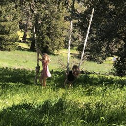 Back area of the Farmhouse. Rope swings. Back area of the Farmhouse. Rope swings.