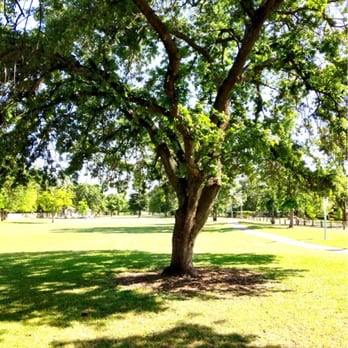 Cardinal Oaks Park - Nice shady spots - Parks Near Me - Carmichael, California
