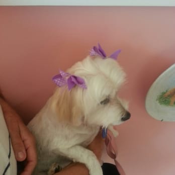 Doggie Salon - Pet Groomers Near Me - Anaheim, California Doggie Salon - Pet Groomers Near Me - Anaheim, California