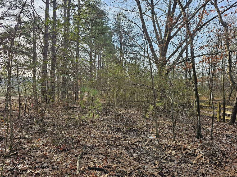 PRO Land Services - tree service in Memphis, TN