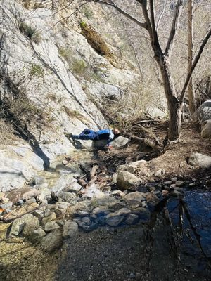 Trail Canyon Falls by null