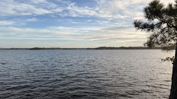 Dreher Island State Park by null