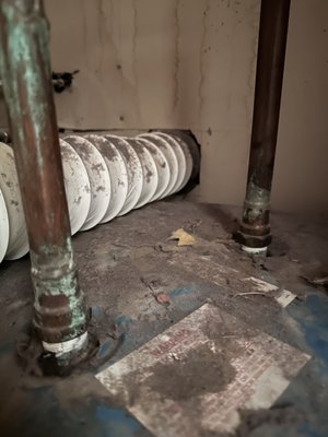 Shy Maintenance And Repair Logo