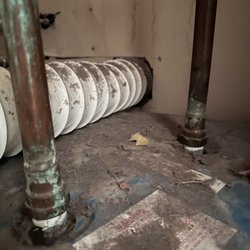 Shy Maintenance And Repair