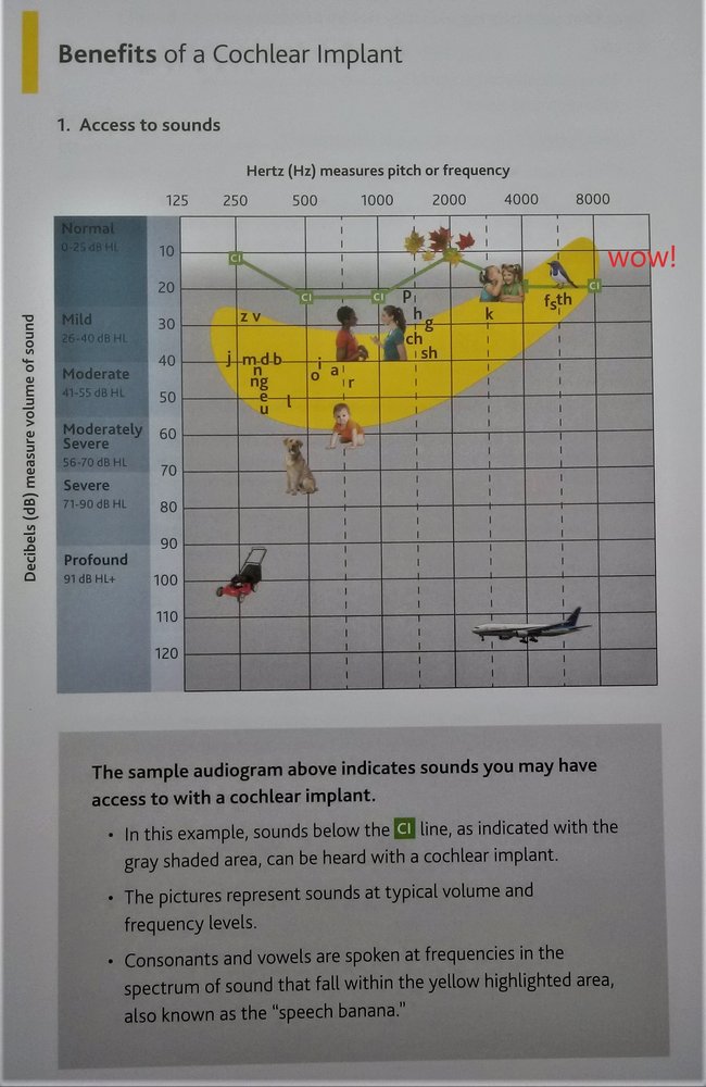 Johns Hopkins Medicine - Otolaryngology