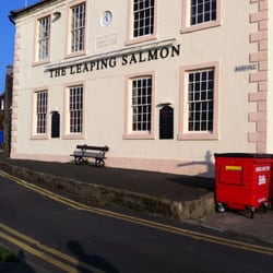 The Leaping Salmon