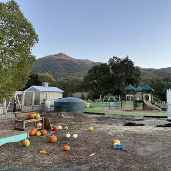 Clayton Valley Farms - Kids Activities Near Me - Clayton, California