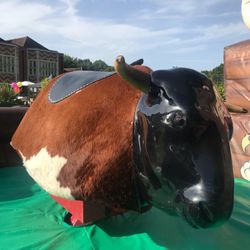 Jest Events - Rodeo Bull, Bucking Bronco Hire