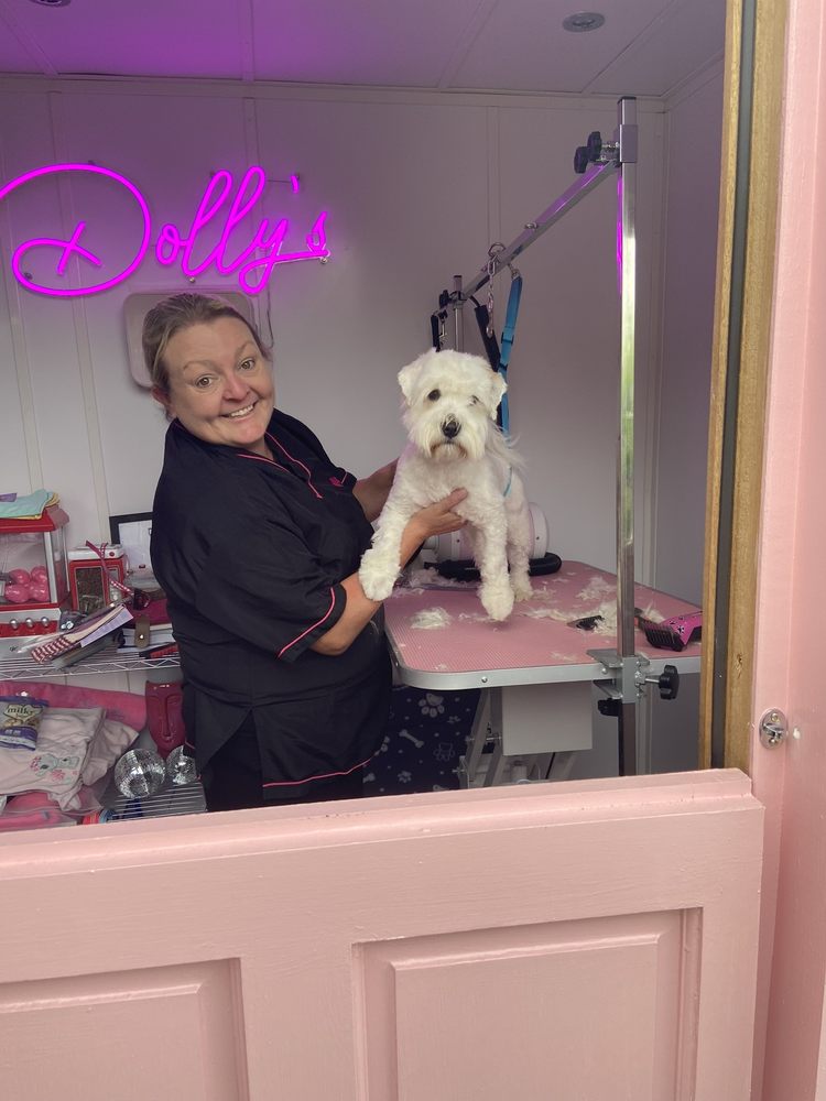 DOLLY’S PET PARLOUR Chiltern Green Road, Chiltern Green, Central