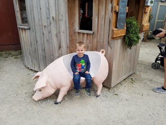 Siegel's Cottonwood Farm by null