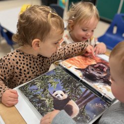 Chesterbrook Academy Preschool