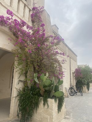Borgo Egnazia by null