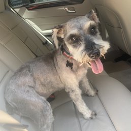 Shaq's happy with his grooming . Shaq's happy with his grooming .