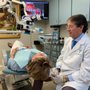 Pedro A. Belaunzaran,DDS P.A