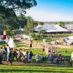 Splendour in the Grass